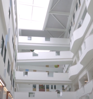 A Whole College Approach to T-levels